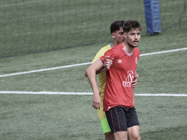 עם צמד שערים. אשכנזי (עו"ד איציק שטיינוורצל)